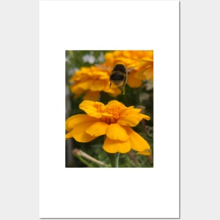 Busy Bee Posters and Art